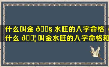 什么叫金 🐧 水旺的八字命格（什么 🐦 叫金水旺的八字命格和命运）